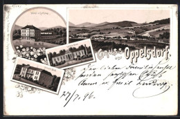 Lithographie Bad Oppelsdorf, Hotel Zum Curhaus, Carolabad, Ortsansicht  - Sudeten