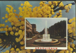 Souvenir De Draguignan - (P) - Draguignan