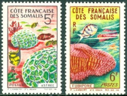 SOMALI COAST 1963 CORAL REEF MARINE LIFE** - Marine Life