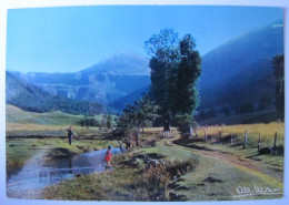 FRANCE - CANTAL - Vallée De Cheylade Et Le Puy Mary - Otros & Sin Clasificación