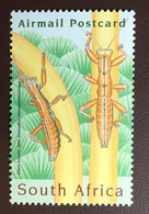 South Africa 2008 Entomology Conference Insects MNH - Andere & Zonder Classificatie