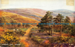 R137343 Webbers Post. Exmoor. Valentine. 1968 - World