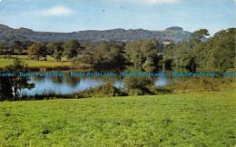 R137348 Chanctonbury Ring From Wiston Lake. Wardells. 1967 - World