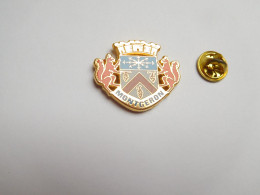 Superbe Pin's En Zamac , ,blason De La Ville De Montgeron , écureuil , Signé GDC - Städte