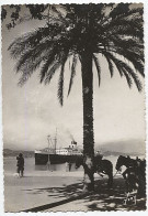 X123306 CORSE DU SUD AJACCIO QUAI NAPOLEON ET LE PASCAL PAOLI - Ajaccio