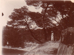 Photographie Vintage Photo Snapshot Cap Brun Toulon - Orte