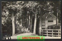 DORDRECHT Hallincpark (vóór 1915) Levendig 1931  - Dordrecht