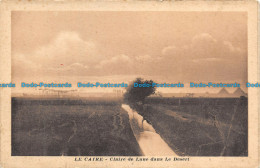 R136084 Le Caire. Claire De Lune Dans Le Desert. The Cairo Postcard Trust. Serie - Monde