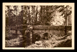 45 - PONT-AUX-MOINES - LE PONT SUR LA RIVIERE - Autres & Non Classés