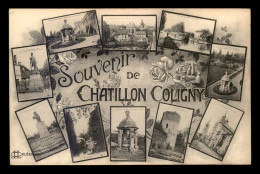 45 - CHATILLON-COLIGNY - SOUVENIR MULTIVUES - Chatillon Coligny