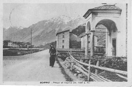 Cepina (Sondrio) - Dintorni - Sondrio