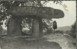 Draguignan - La Peyro De La Fado (Pierre De La Fée) - (P) - Draguignan