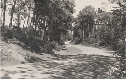 X9887 ILE D' OLERON VERT BOIS CHARENTE MARITIME EN 1952 - Ile D'Oléron