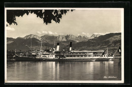 AK Raddampfer Stadt Rapperswil Auf Dem Zürichsee  - Andere & Zonder Classificatie