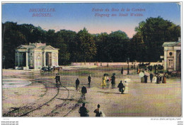 BRUXELLES: ENTREE  DU  BOIS  DE  LA  CAMBRE  -  " FELDPOST "  -  FP - Forests, Parks