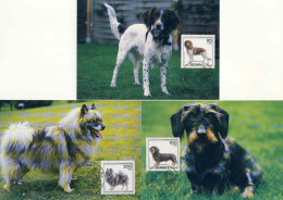 131  Chiens: 5 Cartes Maximum D'Allemagne, 1995 - Dogs: Complete Set Of 5 Maximum Cards From Germany - Cani