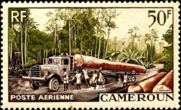 Cameroun Avion N** Yv:46 Mi:309 Camion Forestier - Luftpost