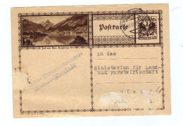 Österreich, 1928, Bildpostkarte Von Zell Am See Mit Eingedr. 10Gr. Frankatur; Stempel Wiener Neustadt (12827W) - Zell Am See