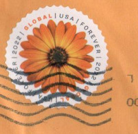 USA - 2022 - Flowers - African Daisy - Used. On Paper. - Usados