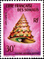 Cte Des Somalis Poste N** Yv:314 Mi:346 Trochus Dentatus Coquillage - Unused Stamps