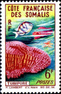 Cte Des Somalis Poste N** Yv:317 Mi:352 Tubipore - Unused Stamps