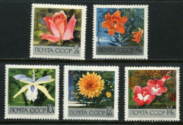 Russia  USSR  1969   MNH ** - Unused Stamps