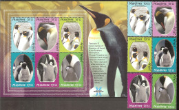 MALDIVES Birds(penguins) Set 6 Stamps+S/Sheet  MNH - Andere & Zonder Classificatie