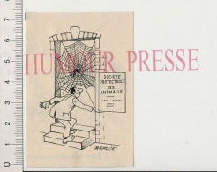 Humour SPA Siège Social Société Protectrice Des Animaux Toile D'araignée Animal Porte D'entrée Animal - Non Classés