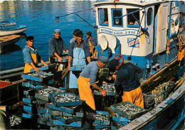 Metiers - Peche - Pecheur - Déchargement De La Sardine - Bateaux Bernard Marie José - Flamme Postale De Plougasnou - CPM - Pêche