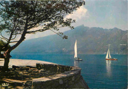 73 - Aix Les Bains - Lac Du Bourget - Panorama Sur La Dent Du Chat - Voile - CPM - Voir Scans Recto-Verso - Aix Les Bains