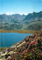 05 - Hautes Alpes - Lac Laramon - Vallée De Névache - CPM - Voir Scans Recto-Verso - Other & Unclassified