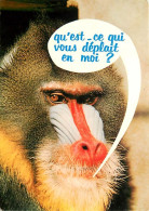 Animaux - Singes - Mandrill - Carte à Message - Carte Du Parc Zoologique De Fréjus - Carte Neuve - CPM - Voir Scans Rect - Affen