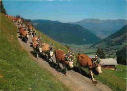 Animaux - Vaches - Suisse - Aipabfahrt - Descente De L'alpe - Montagnes - Flamme Postale - Voir Timbre - CPM - Voir Scan - Kühe