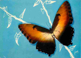 Animaux - Papillons - Papillons Exotiques - Morpho Hécuba - Grand' Planeur - CPM - Voir Scans Recto-Verso - Vlinders