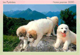 Animaux - Chiens - Chien Des Pyrénées - Chiots - Carte Neuve - CPM - Voir Scans Recto-Verso - Dogs