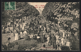 CPA Amiens, Marché Sur L'eau  - Amiens