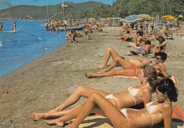 CARTOLINA  C18 PUNTA ALA,GROSSETO,TOSCANA-INTERNATIONAL CAMPING BAIA VERDE-VACANZA,MARE,BELLA ITALIA,VIAGGIATA 1982 - Grosseto