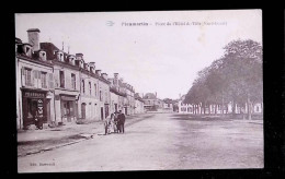 Cp, 86, Pleumartin,  Place De L'hôtel De Ville, Nord-ouest, Voyagée 1931 - Pleumartin