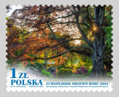 POLAND 2024 FLORA Nature. Plants. European Tree Of The Year - Fine Stamp MNH - Nuevos