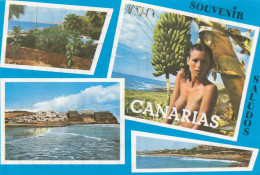 CARTOLINA  C18 ISOLE CANARIAS,SPAGNA-RECUERDO DE GRAN CANARIA-NON VIAGGIATA - Tenerife