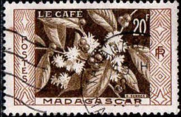 Madagascar Poste Obl Yv:331 Mi:435 Le Café (TB Cachet Rond) - Usados