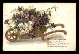 FANTAISIE - BROUETTE DE FLEURS - VIOLETTES - Blumen