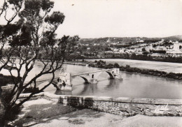 AVIGNON - Le Pont St-Bénézet (XII Siècle) Vu Du Rocher Des Doms - Avignon