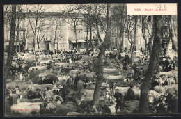 CPA Dax, Marché Aux Boeufs  - Dax