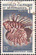 Nle-Calédonie Poste Obl Yv: 291 Mi:364 Brachyrus Zebra (TB Cachet Rond) (Thème) - Fishes