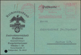 AFS Reichsnährstand Tiergesundheitsamt Münster 13.8.38 Auf Postkarte Nach Bochum - Medicine