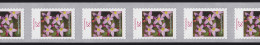 3094 Blume 28 Cent 2014 Sk 11er-Übergang 2/3-stellig 95-100-105, ** - Rollenmarken