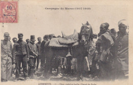 Cheval Pur Sang Arabe Du Pacha  à Azemmour  Maroc Timbre Mouchon - Paarden