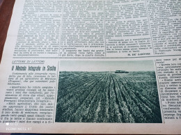 DOMENICA DELL’AGRICOLTORE 1940 MARAUSA TRAPANI ALLEVAMENTO BACHI DA SETA IN FRIULI - Otros & Sin Clasificación