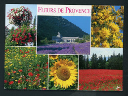 CPM: FLEURS EN PROVENCE - MULTIVUE - Blumen